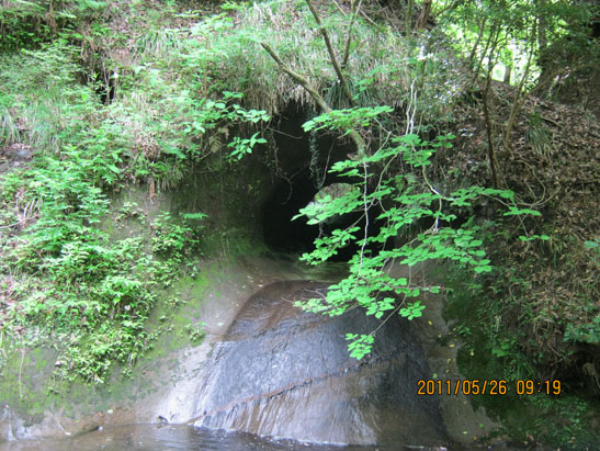 201106